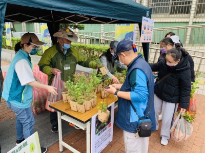 本次加贈本送極具在地特色的稀有植物新竹油菊以及庭梅共600株(新竹林管處提供)